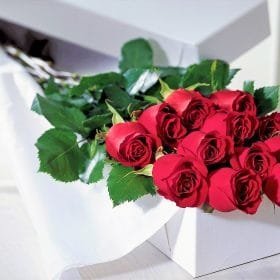 12 Ever Red Roses in a Box – Valentine’s Day  Special