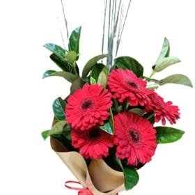 Red Gerbera Bouquet