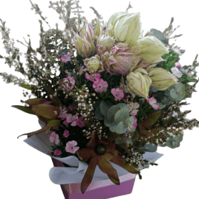 Classic little surprise