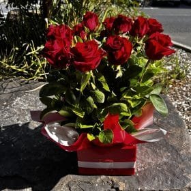 Dozen Red Roses Arrangement