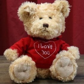 Teddy Brown (color could be vary depending on availability)