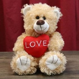 Teddy (color could be vary depending on availability)