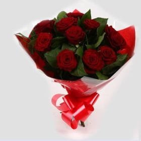 12 Red long Stem Roses Bouquet